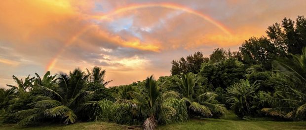 My favorite healers on Big Island,&nbsp;Hawaii